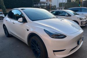 Tesla Y