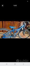 bicicletta bambino/ragazzo 