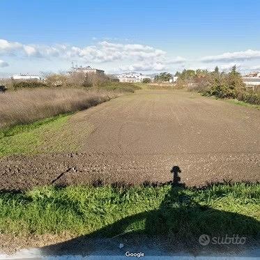 Terreno agricolo capua 1000mq circa - Vista 3