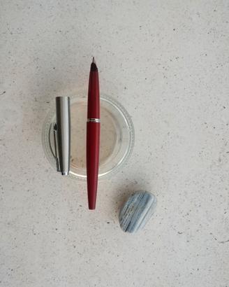 Penna stilografica Parker 45 pennino F bordeaux