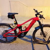 Orbea wild H 20