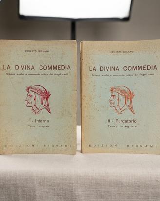 La Divina Commedia (Inferno e Purgatorio) 1979