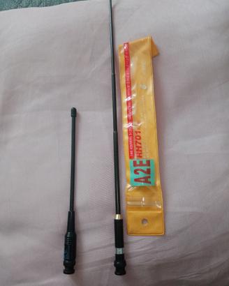 Antenne per portatili Dual band