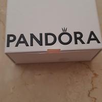 bracciale + 2 charms Pandora