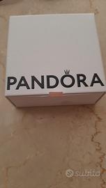 bracciale + 2 charms Pandora