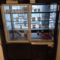 elettrodomestici vari