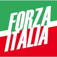 Bandiera FORZA ITALIA 100x120 (NUOVA)