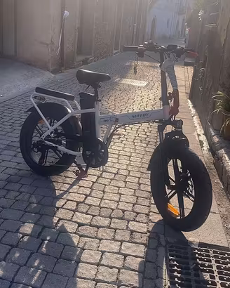 Bici elett