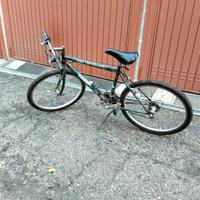 Bici Negrini Mountain bike