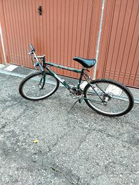Bici Negrini Mountain bike
