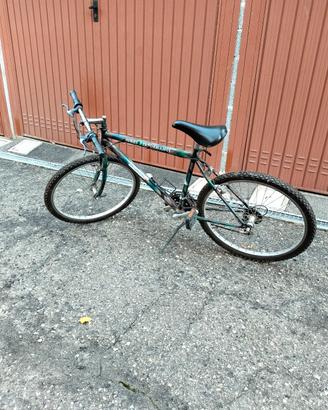 Bici Negrini Mountain bike