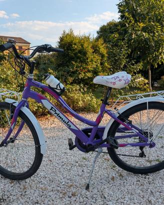Bicicletta da 24