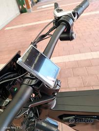 bicicletta elettrica 