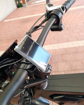bicicletta elettrica 