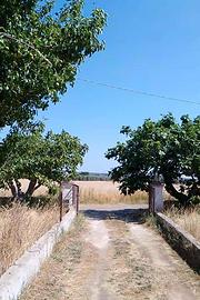 Bilocale in agro Casarano con terreno