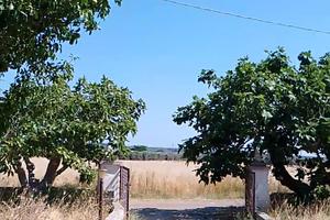 Bilocale in agro Casarano con terreno