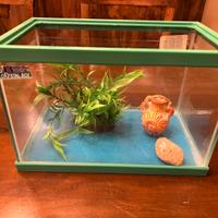 Acquario pesci Blu Bios