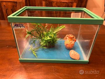 Acquario pesci Blu Bios