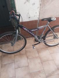 biciclette 