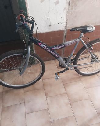 biciclette 