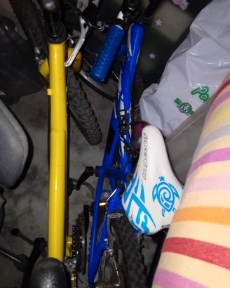 mountain bike ruota 20"