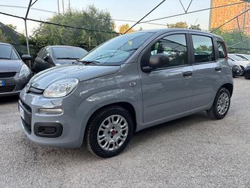 Fiat Panda 1.0 FireFly Hybrid OK NEOPATENTATI