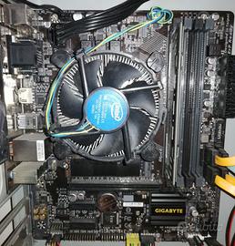 Pentium G4560 + B250M-DS3H