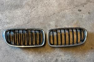 Griglie anteriori bmw