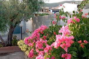 Oleandro Casa Vacanze