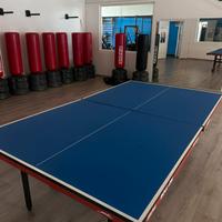 Tavolo da ping pong