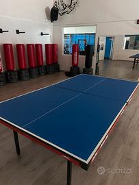 Tavolo da ping pong