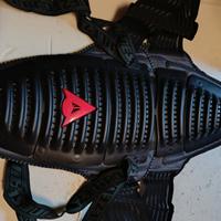 paraschiena Dainese