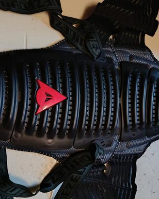 paraschiena Dainese