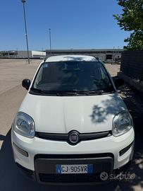 Fiat panda hybrid