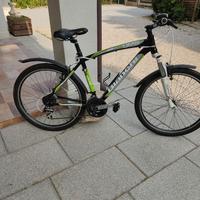 Mountainbike da uomo