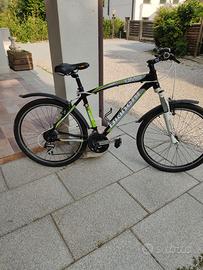 Mountainbike da uomo