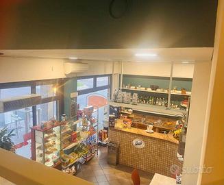Attività / Licenza di 54 m² a Albenga