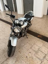 Honda hornet 600 del 1999 ASI