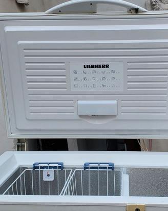 Congelatore a pozzo Liebherr