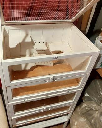 Porcellini d'India e terrario