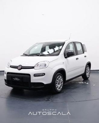 FIAT Panda New 1.0 FireFly 70cv S&S Hybrid