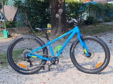 cannandale cujo 24 plus