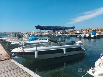 Barca Allegra 19 + Selva 100cv anno 2016