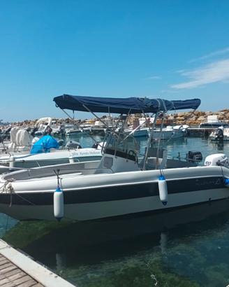 Barca Allegra 19 + Selva 100cv anno 2016