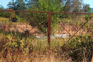 Terreno agricolo località Follo (SP)