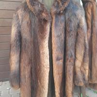 pelliccia di castoro