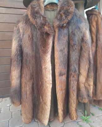 pelliccia di castoro