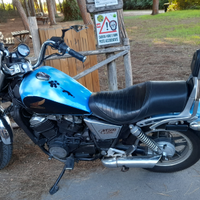 Vt 500 custom
