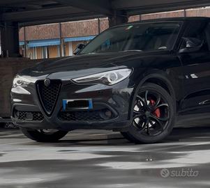 Stelvio 2.2 210 cv tettuccio