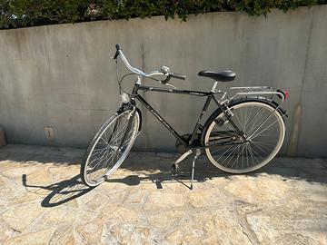 Bici Cinzia Bike - Classica